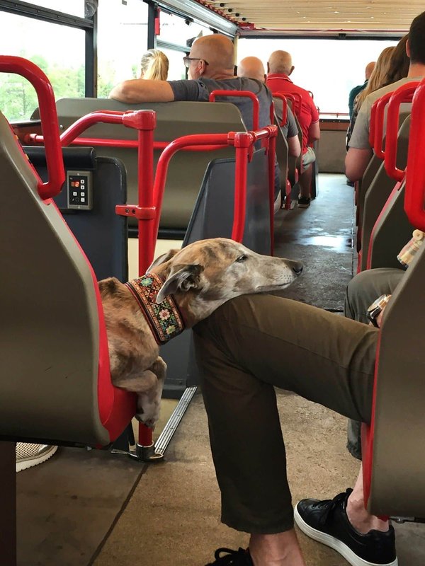 Ultimate Guide to Safely Securing Your Sport Bike for Ferry Transport in the UK