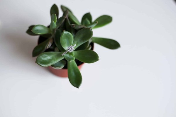 Unlocking Community Connections: Proven Strategies for UK Sports Clubs to Engage Locally